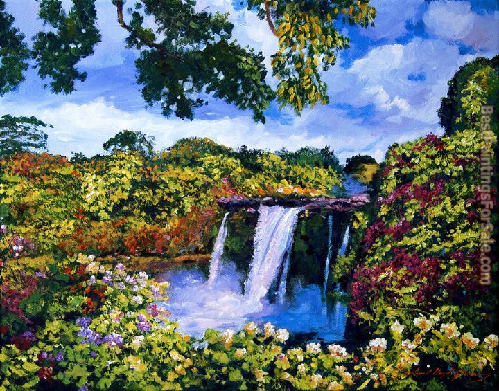 David Lloyd Glover Hawaiian Paradise Falls